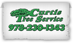 Curtis Tree Service and Crane Service